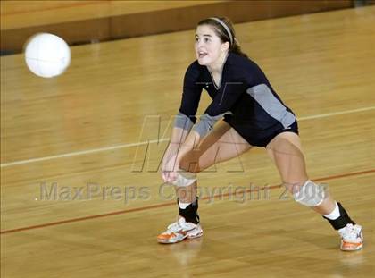 Thumbnail 3 in Lakewood @ Columbine photogallery.