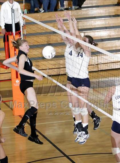 Thumbnail 3 in Lakewood @ Columbine photogallery.