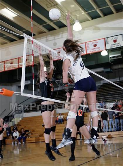 Thumbnail 1 in Lakewood @ Columbine photogallery.