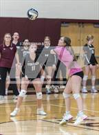 Photo from the gallery "Byron-Bergen @ Bloomfield"