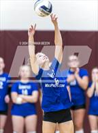 Photo from the gallery "Byron-Bergen @ Bloomfield"