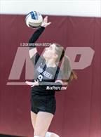 Photo from the gallery "Byron-Bergen @ Bloomfield"