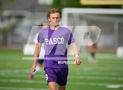 Thumbnail 3 in Pasco vs. Bellarmine Prep (WIAA 4A Semifinal) photogallery.