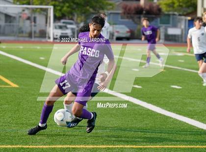 Thumbnail 2 in Pasco vs. Bellarmine Prep (WIAA 4A Semifinal) photogallery.