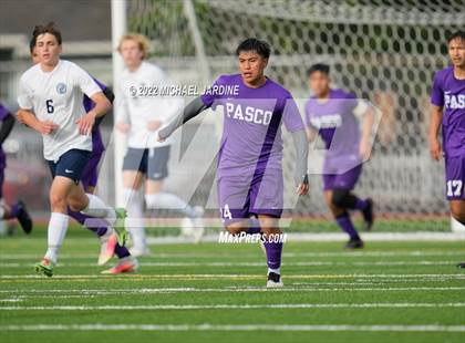 Thumbnail 2 in Pasco vs. Bellarmine Prep (WIAA 4A Semifinal) photogallery.