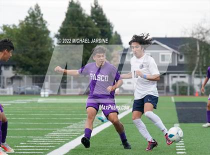 Thumbnail 3 in Pasco vs. Bellarmine Prep (WIAA 4A Semifinal) photogallery.