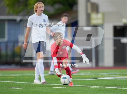 Thumbnail 3 in Pasco vs. Bellarmine Prep (WIAA 4A Semifinal) photogallery.