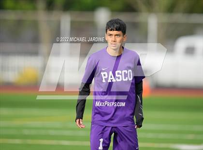 Thumbnail 1 in Pasco vs. Bellarmine Prep (WIAA 4A Semifinal) photogallery.