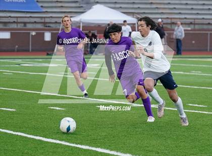Thumbnail 3 in Pasco vs. Bellarmine Prep (WIAA 4A Semifinal) photogallery.