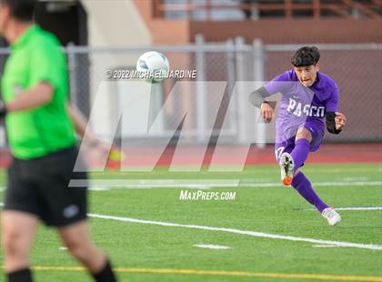 Thumbnail 1 in Pasco vs. Bellarmine Prep (WIAA 4A Semifinal) photogallery.