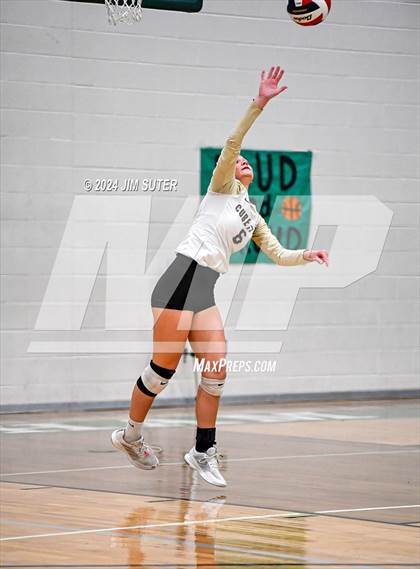 Thumbnail 3 in D'Hanis vs Round Top-Carmine (UIL Volleyball 1A Region III Semifinal) photogallery.