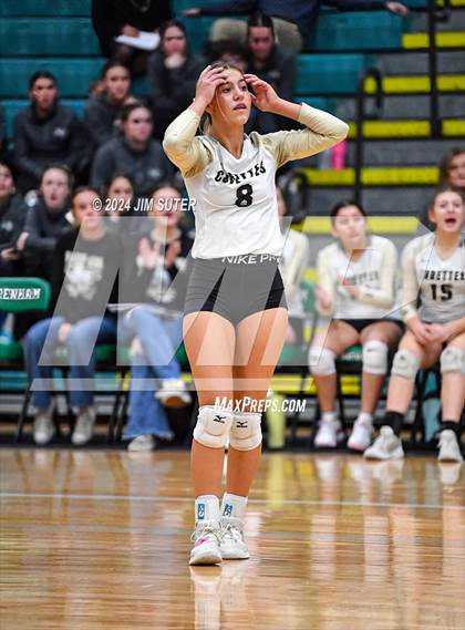 Thumbnail 1 in D'Hanis vs Round Top-Carmine (UIL Volleyball 1A Region III Semifinal) photogallery.