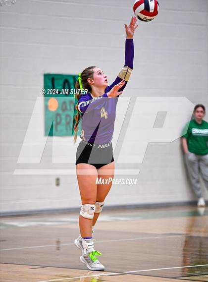 Thumbnail 1 in D'Hanis vs Round Top-Carmine (UIL Volleyball 1A Region III Semifinal) photogallery.