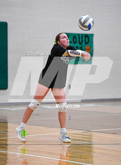 Thumbnail 1 in D'Hanis vs Round Top-Carmine (UIL Volleyball 1A Region III Semifinal) photogallery.