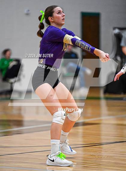 Thumbnail 3 in D'Hanis vs Round Top-Carmine (UIL Volleyball 1A Region III Semifinal) photogallery.
