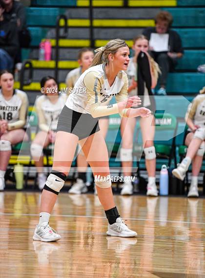 Thumbnail 1 in D'Hanis vs Round Top-Carmine (UIL Volleyball 1A Region III Semifinal) photogallery.