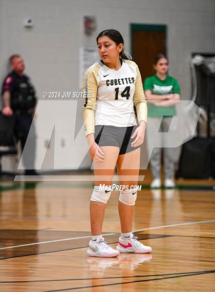 Thumbnail 1 in D'Hanis vs Round Top-Carmine (UIL Volleyball 1A Region III Semifinal) photogallery.
