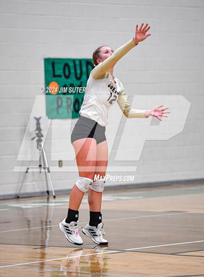 Thumbnail 1 in D'Hanis vs Round Top-Carmine (UIL Volleyball 1A Region III Semifinal) photogallery.