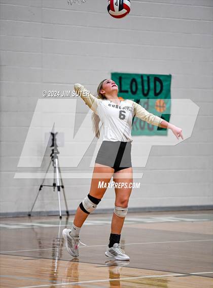 Thumbnail 1 in D'Hanis vs Round Top-Carmine (UIL Volleyball 1A Region III Semifinal) photogallery.