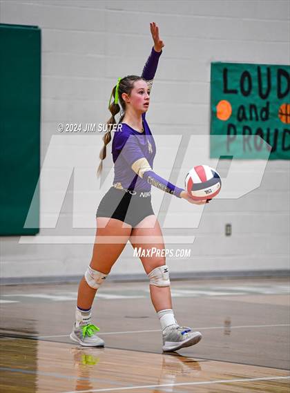 Thumbnail 1 in D'Hanis vs Round Top-Carmine (UIL Volleyball 1A Region III Semifinal) photogallery.