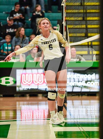 Thumbnail 1 in D'Hanis vs Round Top-Carmine (UIL Volleyball 1A Region III Semifinal) photogallery.