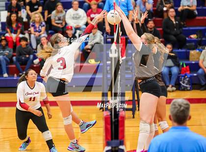 Thumbnail 1 in Palmer @ Sand Creek photogallery.