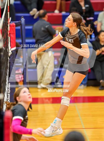 Thumbnail 3 in Palmer @ Sand Creek photogallery.