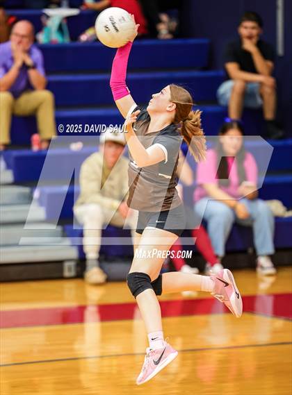 Thumbnail 2 in Palmer @ Sand Creek photogallery.