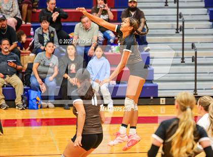 Thumbnail 1 in Palmer @ Sand Creek photogallery.