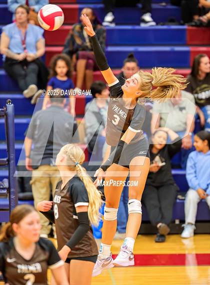 Thumbnail 1 in Palmer @ Sand Creek photogallery.