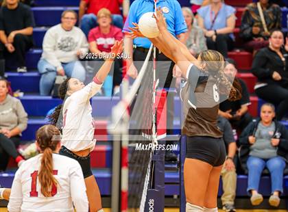 Thumbnail 2 in Palmer @ Sand Creek photogallery.