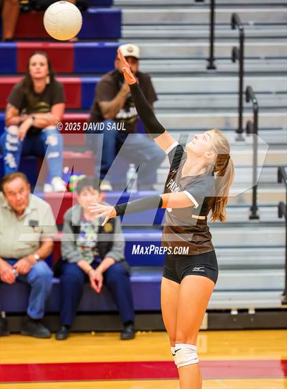 Thumbnail 2 in Palmer @ Sand Creek photogallery.