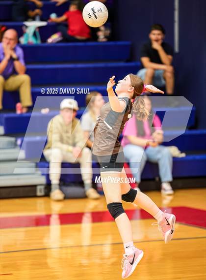 Thumbnail 2 in Palmer @ Sand Creek photogallery.