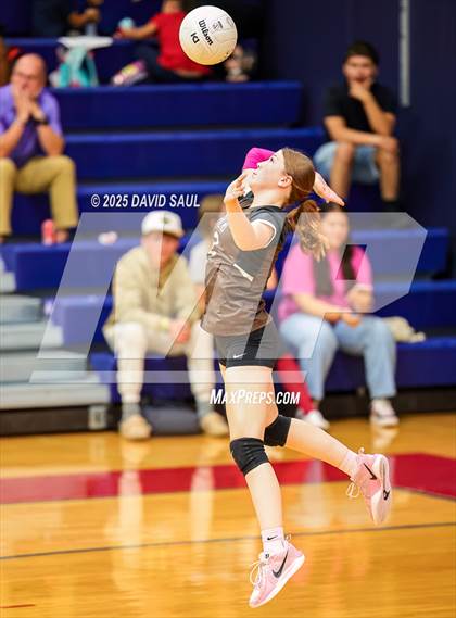 Thumbnail 3 in Palmer @ Sand Creek photogallery.