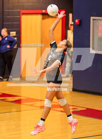 Thumbnail 3 in Palmer @ Sand Creek photogallery.