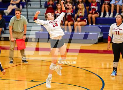 Thumbnail 1 in Palmer @ Sand Creek photogallery.