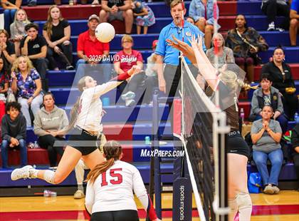 Thumbnail 3 in Palmer @ Sand Creek photogallery.