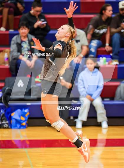 Thumbnail 2 in Palmer @ Sand Creek photogallery.