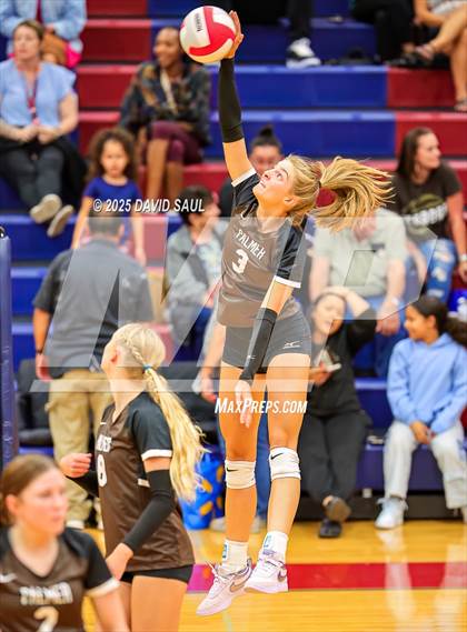 Thumbnail 3 in Palmer @ Sand Creek photogallery.