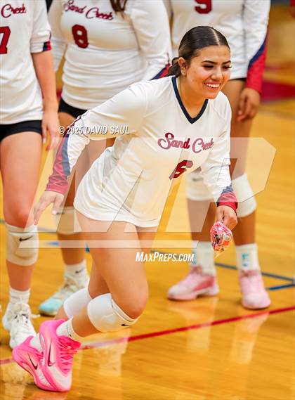 Thumbnail 2 in Palmer @ Sand Creek photogallery.