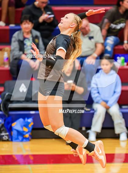 Thumbnail 3 in Palmer @ Sand Creek photogallery.