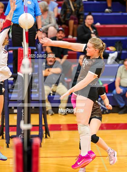 Thumbnail 2 in Palmer @ Sand Creek photogallery.