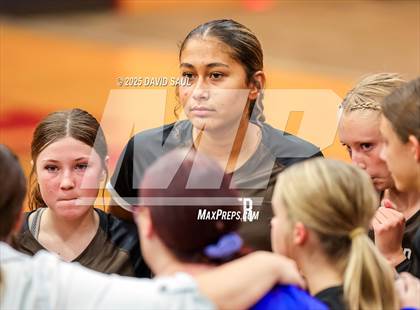 Thumbnail 2 in Palmer @ Sand Creek photogallery.