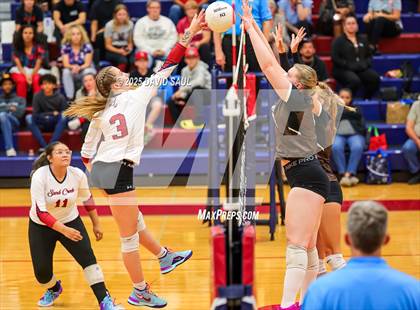 Thumbnail 3 in Palmer @ Sand Creek photogallery.