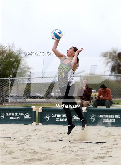 Thumbnail 2 in Dobson @ Canyon del Oro photogallery.