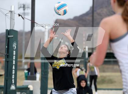 Thumbnail 1 in Dobson @ Canyon del Oro photogallery.