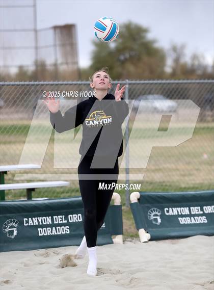 Thumbnail 3 in Dobson @ Canyon del Oro photogallery.