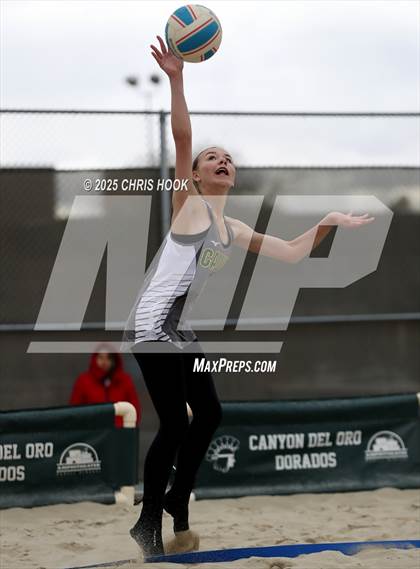 Thumbnail 3 in Dobson @ Canyon del Oro photogallery.