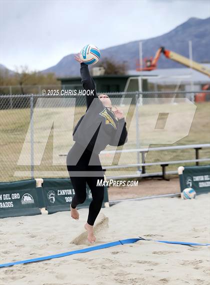 Thumbnail 1 in Dobson @ Canyon del Oro photogallery.