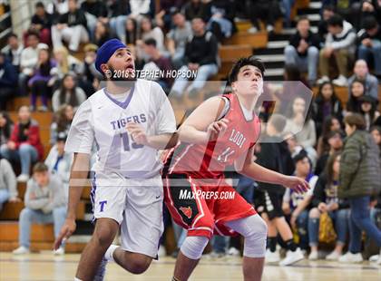 Thumbnail 1 in Lodi @ Tokay photogallery.